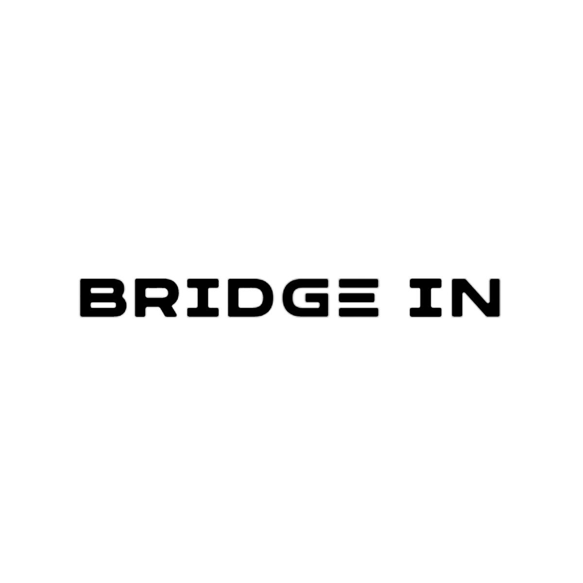 Bridge In